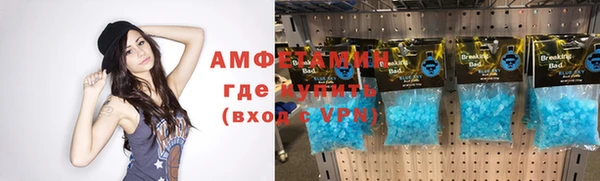 сатива Заволжье