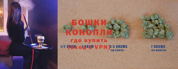 сатива Заволжье
