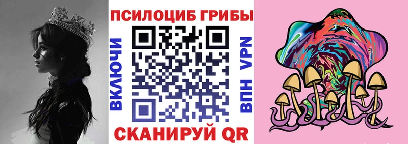 Псилоцибиновые грибы Psilocybe  Клин 
